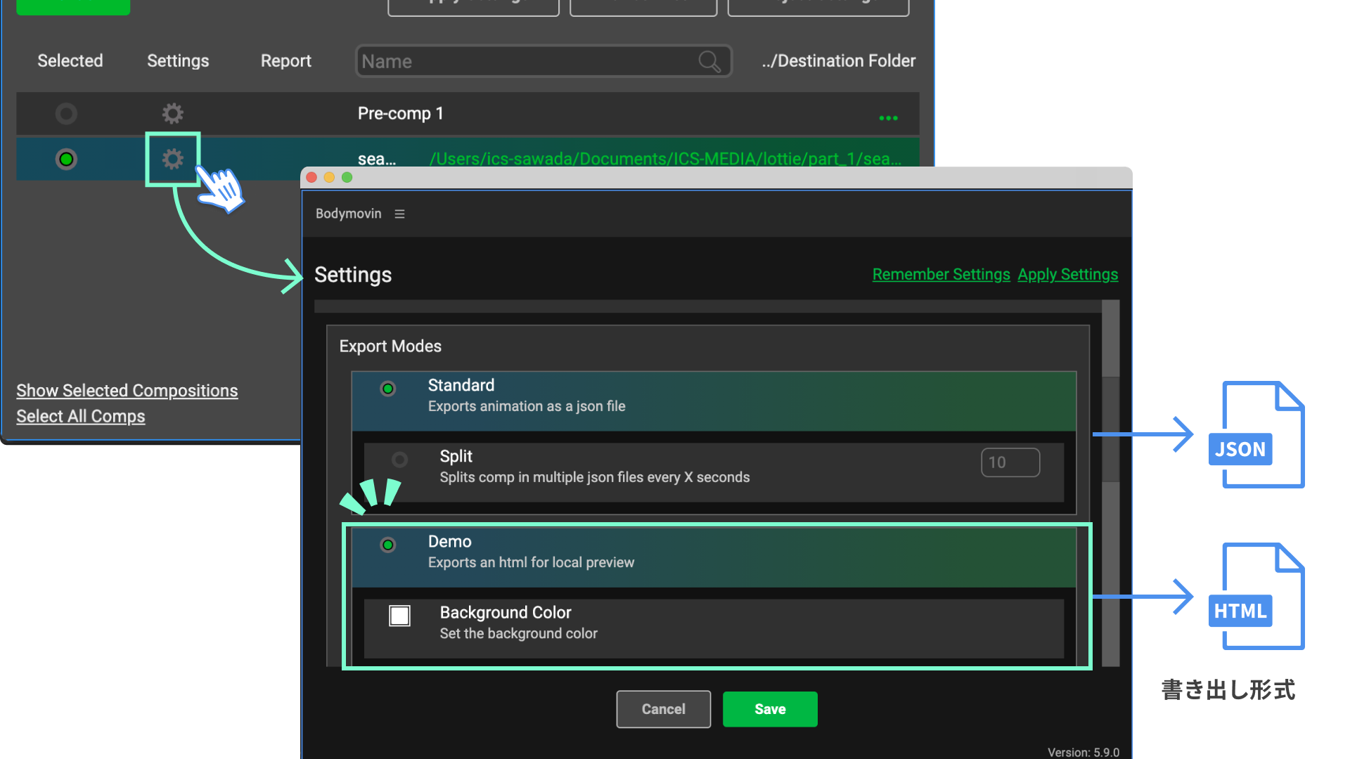 Bodymovin settings screen
