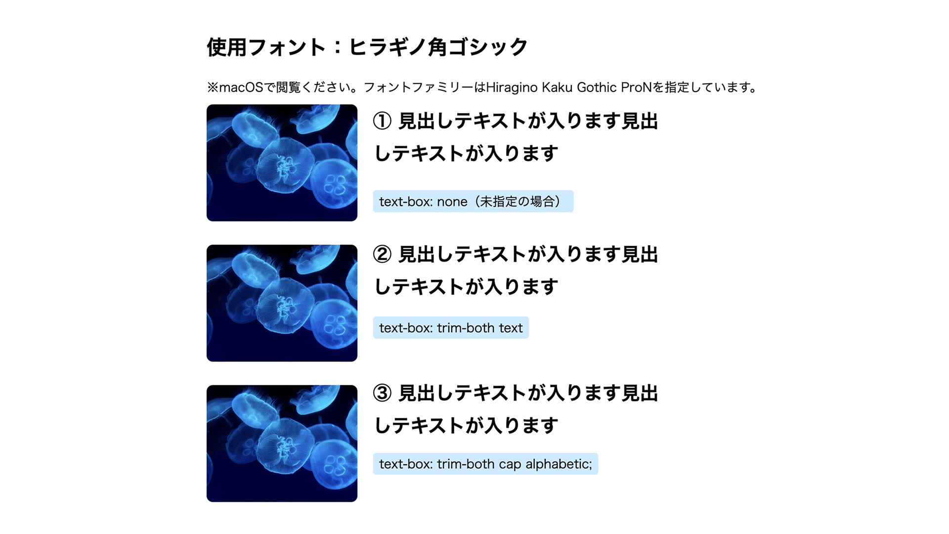 スクリーンショット：ヒラギノ角ゴシックの場合