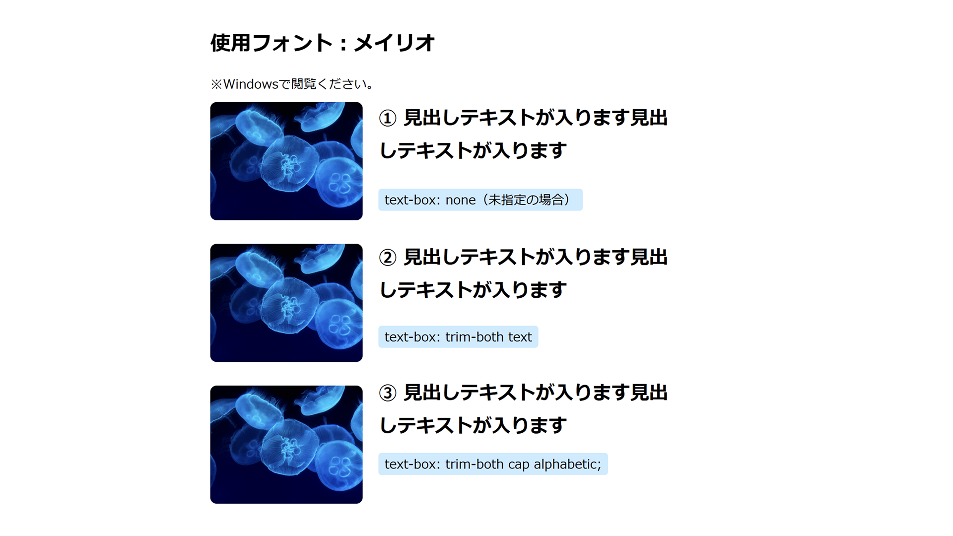 スクリーンショット：メイリオの場合